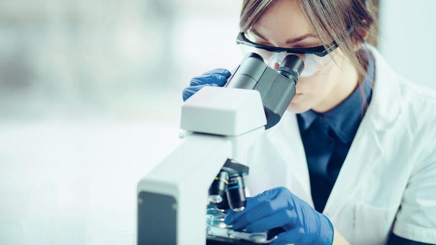 Una investigadora trabaja con el microscopio.