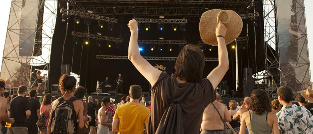 Público durante
un concierto en
un festival.  Levante-EMV