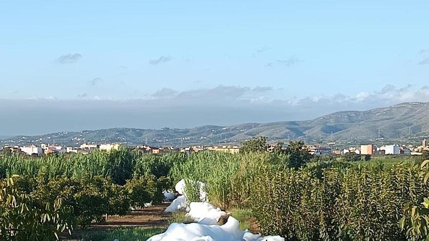 Alerta en el río Magro por la aparición de montañas de espuma y peces muertos en Llombai