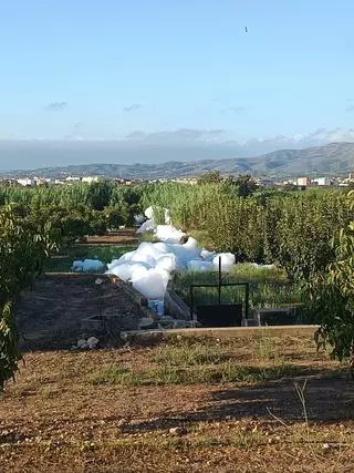 Alerta en el río Magro por la aparición de montañas de espuma y peces muertos en Llombai
