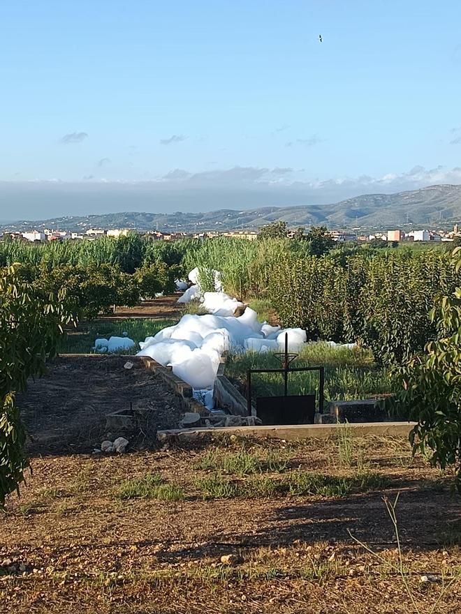 Peces muertos y montañas de espuma en el Magro ponen en alerta a regantes y vecinos de Llombai