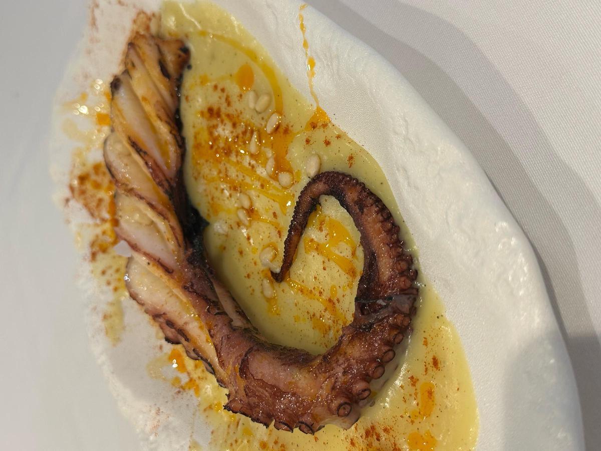 Pulpo sobre parmentier de patata.