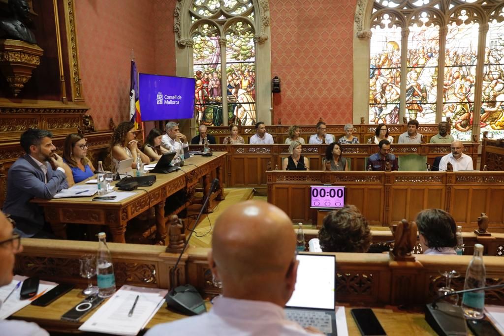 Minuto de silencio en el Consell de Mallorca en memoria de Virginia Eza