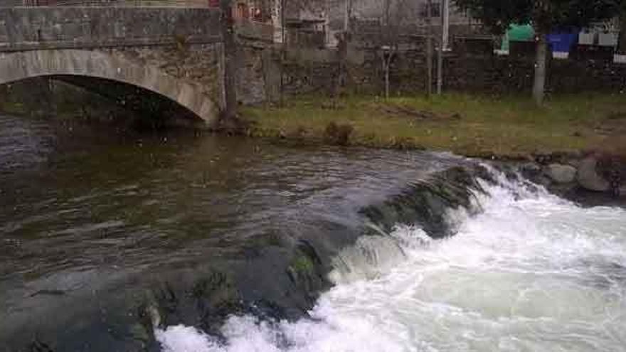 Río Trefacio a su paso por la localidad del mismo nombre.