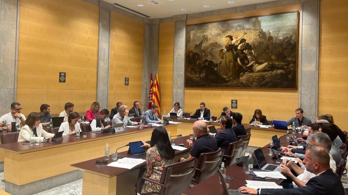 El ple de la Diputació de Girona