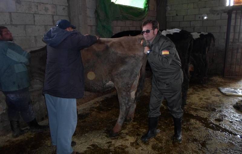 FOTOGALERÍA / Veterinarios de la UCO en Líbano