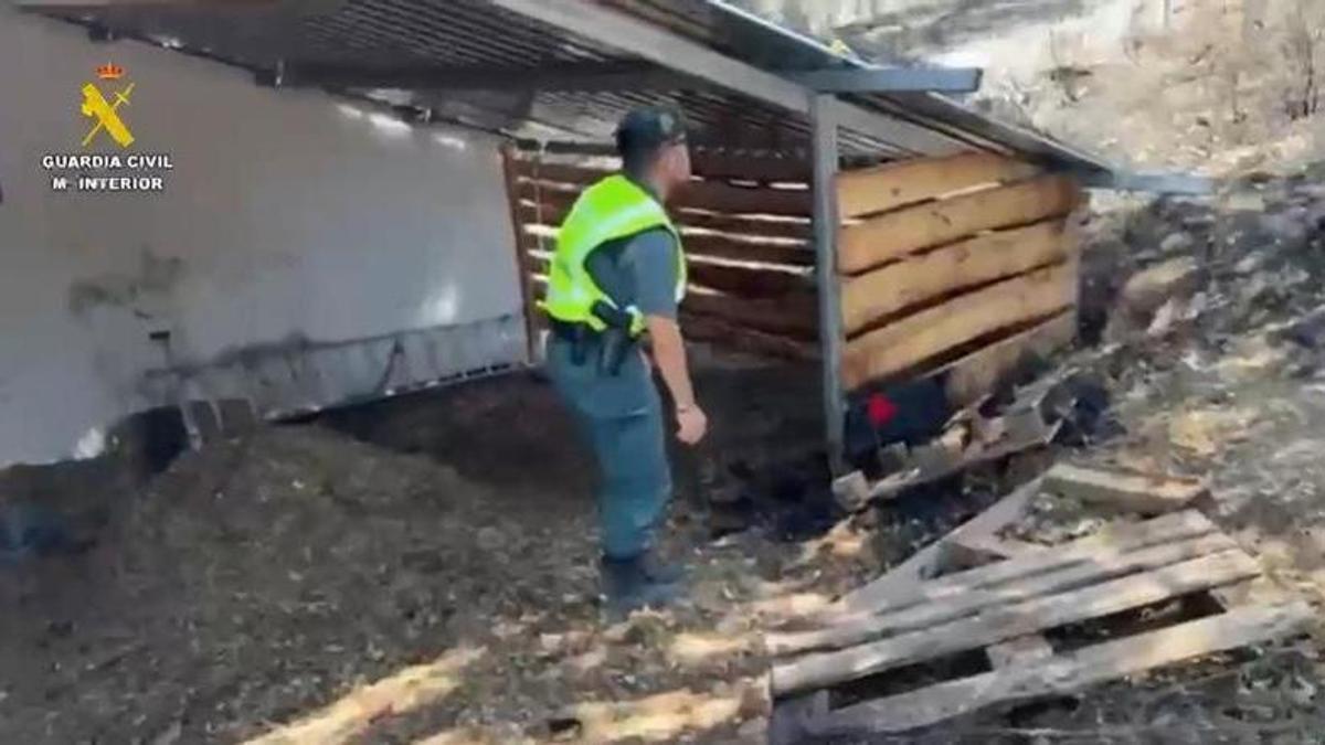 Un agente de la Guardia Civil inspecciona el lugar del posible origen del incendio de Grazalema.