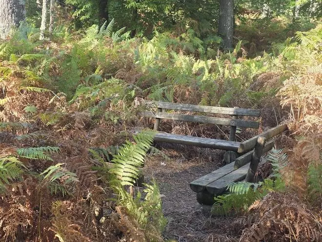 Arrecian las críticas por el «abandono» del Monte Central de A Toxa
