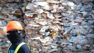 Residuos de botellas de plástico desechadas.