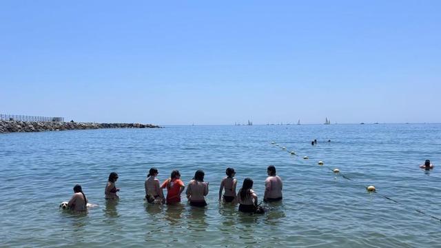 Joves amb TCA en una teràpia amb gossos a la platja