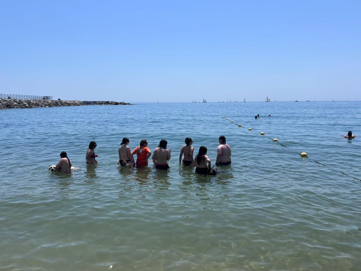 Jóvenes con TCA en una terapia con perros en la playa