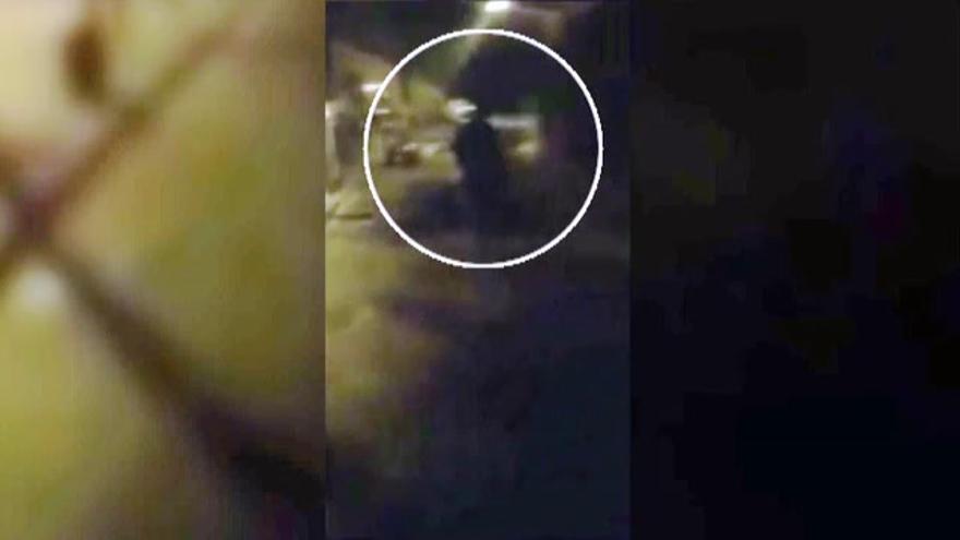 Vídeo / Graba con su móvil al hombre que acaba de abusar de ella en plena calle de Murcia