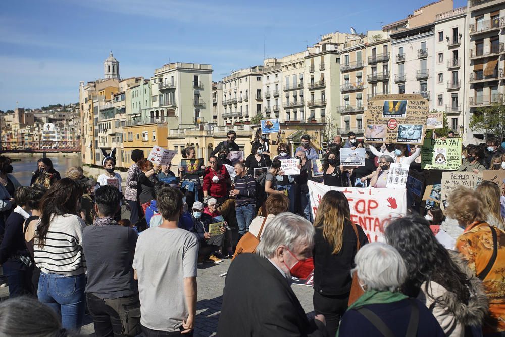 Concentració a Girona per reclamar l'alliberament dels animals de Vivotecnia de Madrid