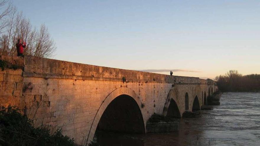 Dos personas toman fotografías del río Duero desde el puente de piedra de Toro.