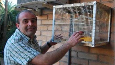 Consejo reservorio gritar Vecinos de Vila-real alertan del ataque de aves rapaces a pájaros  enjaulados - Levante-EMV