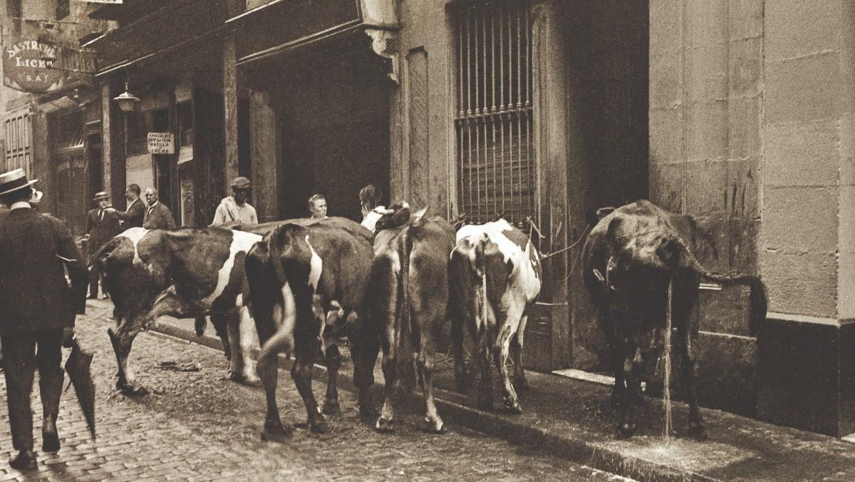 La calle de Sant Pau, en 1926.