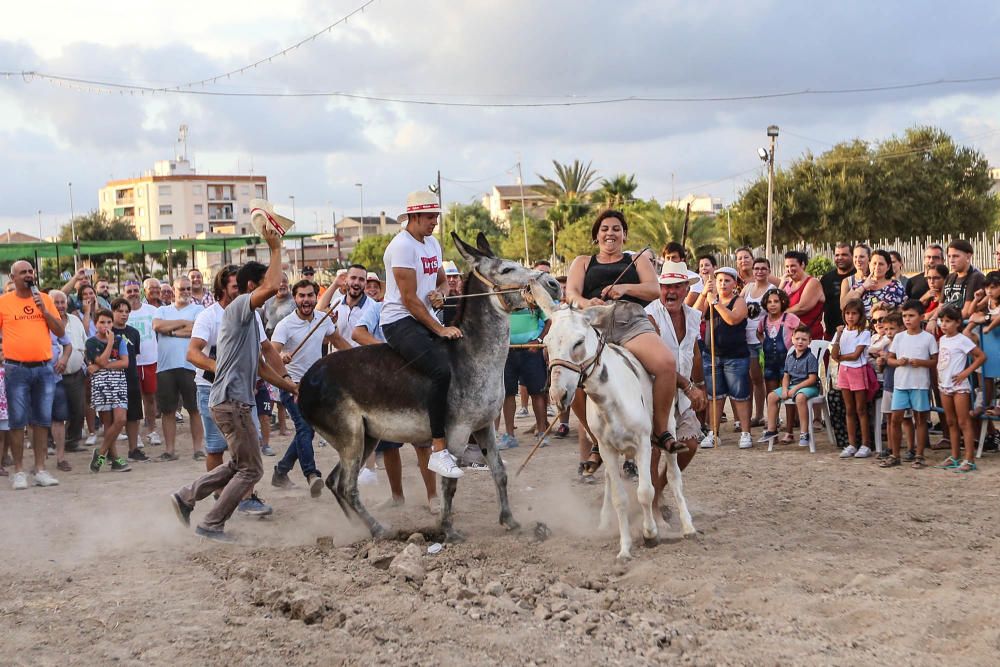 Carrera de burros y asnos y exhibición canina en D