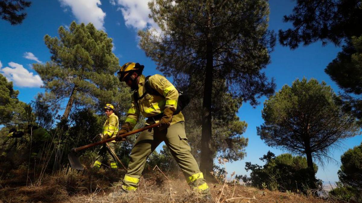 Limpieza de terrenos para reducir el riesgo de incendios.