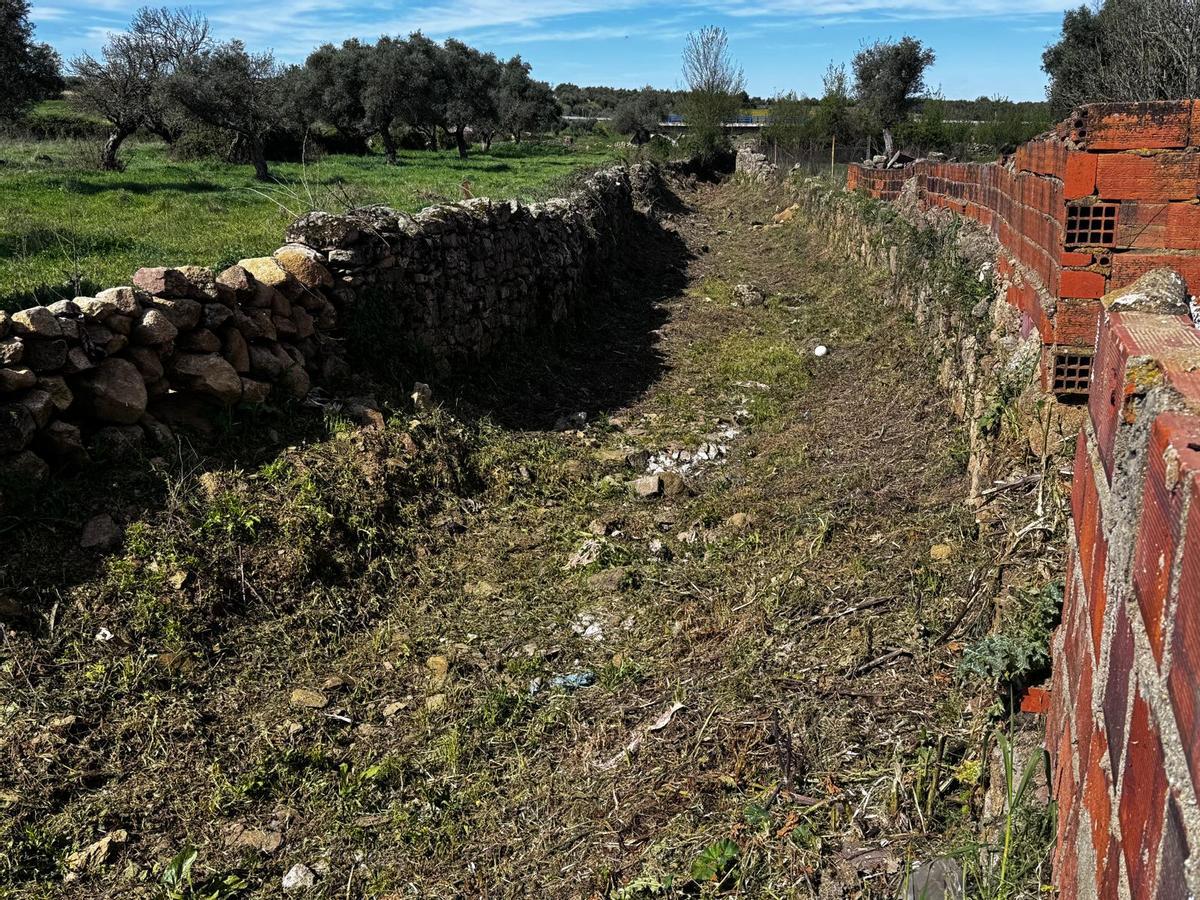 Cauces de Torremocha en ejecucion
