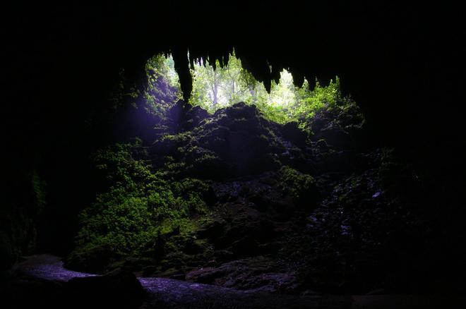 Cueva Clara, Camuy