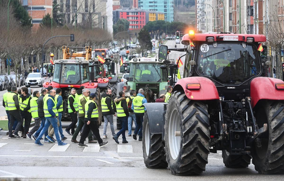 Tractorada de agricultores y ganaderos por la capital burgalesa en protesta por su situación.