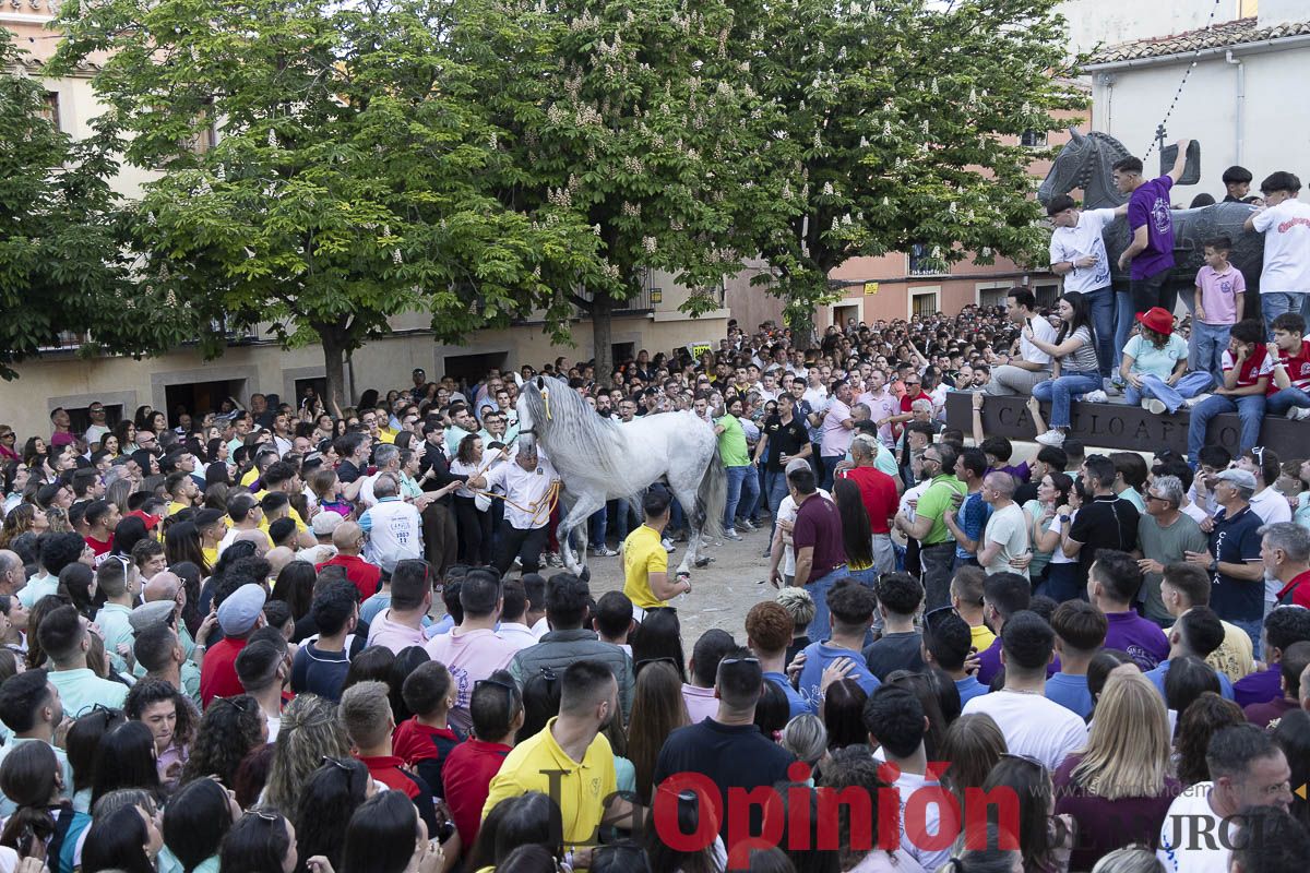 Fiestas de Caravaca | Entrega de premios del concurso morfológico
