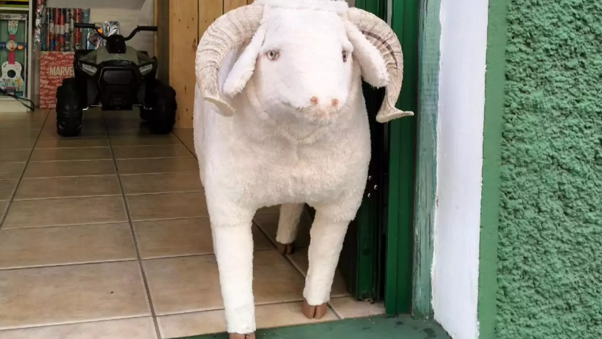 La tienda inspirada en Ale-Hop que solo hay en Canarias