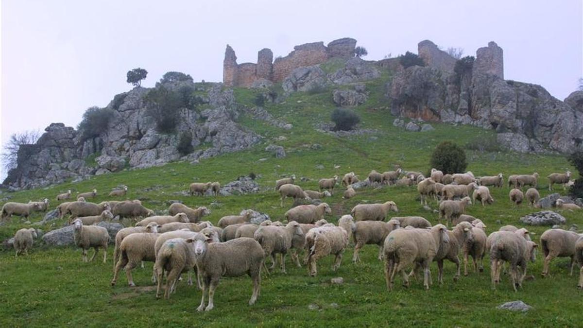 Castillo de Miramontes de Santa Eufemia.