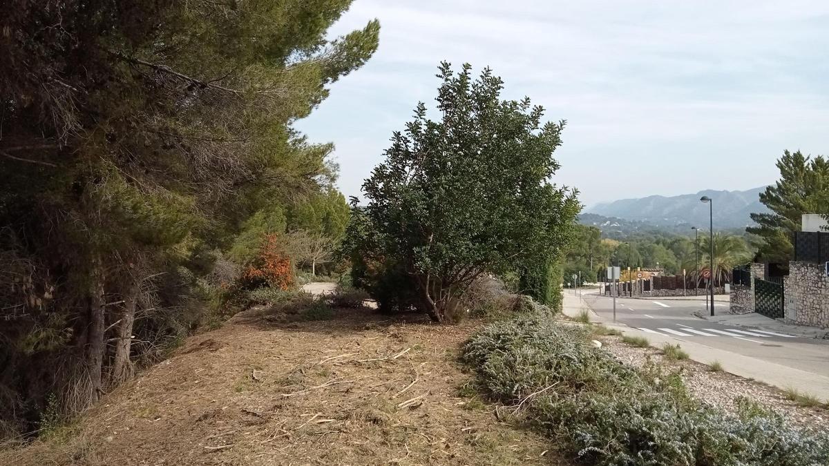 Zona de Bixquert donde se han realizado trabajos de gestión forestal en Xàtiva.