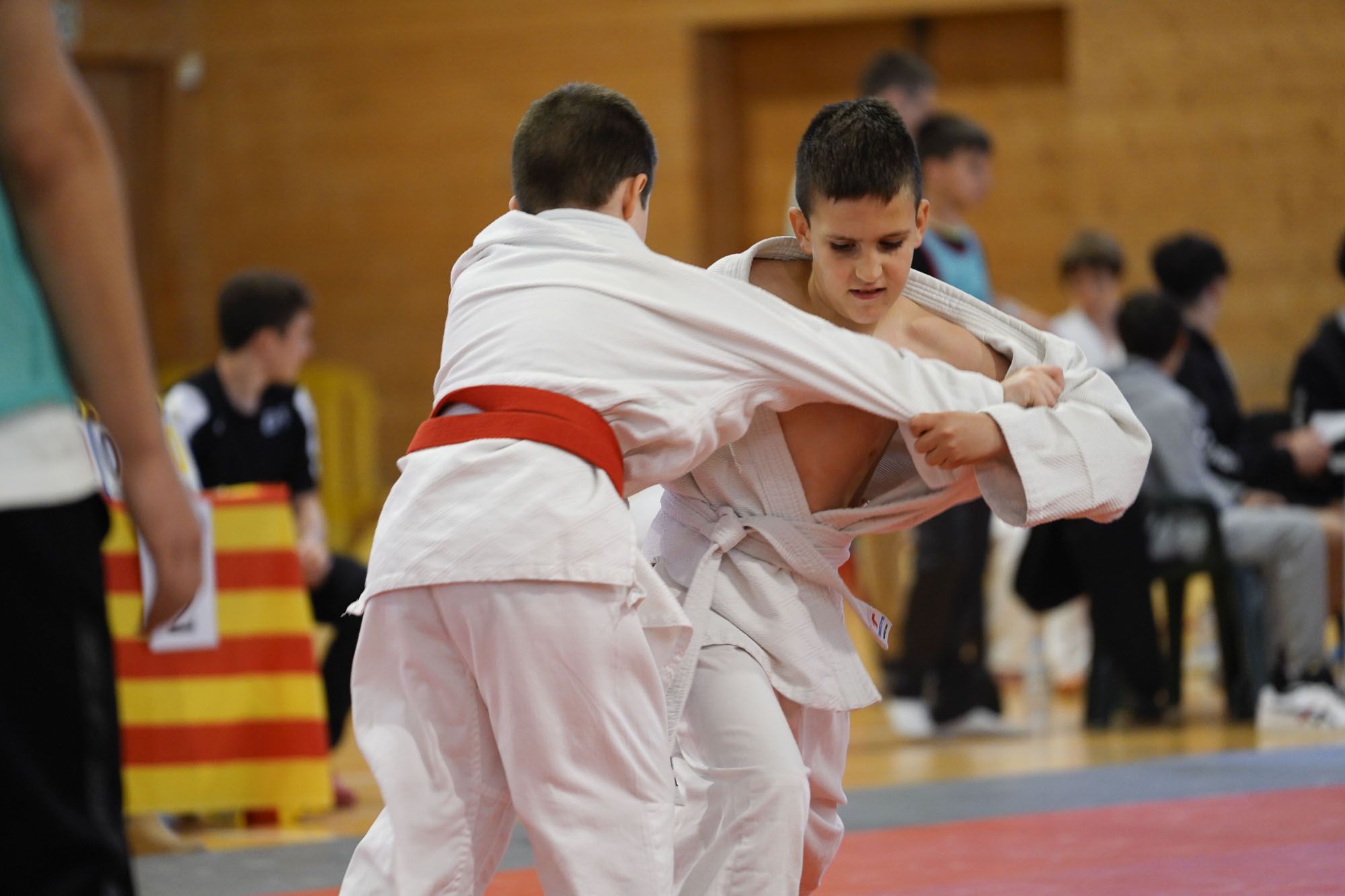 Les imatges del torneig infantil de judo de l'Escola 7