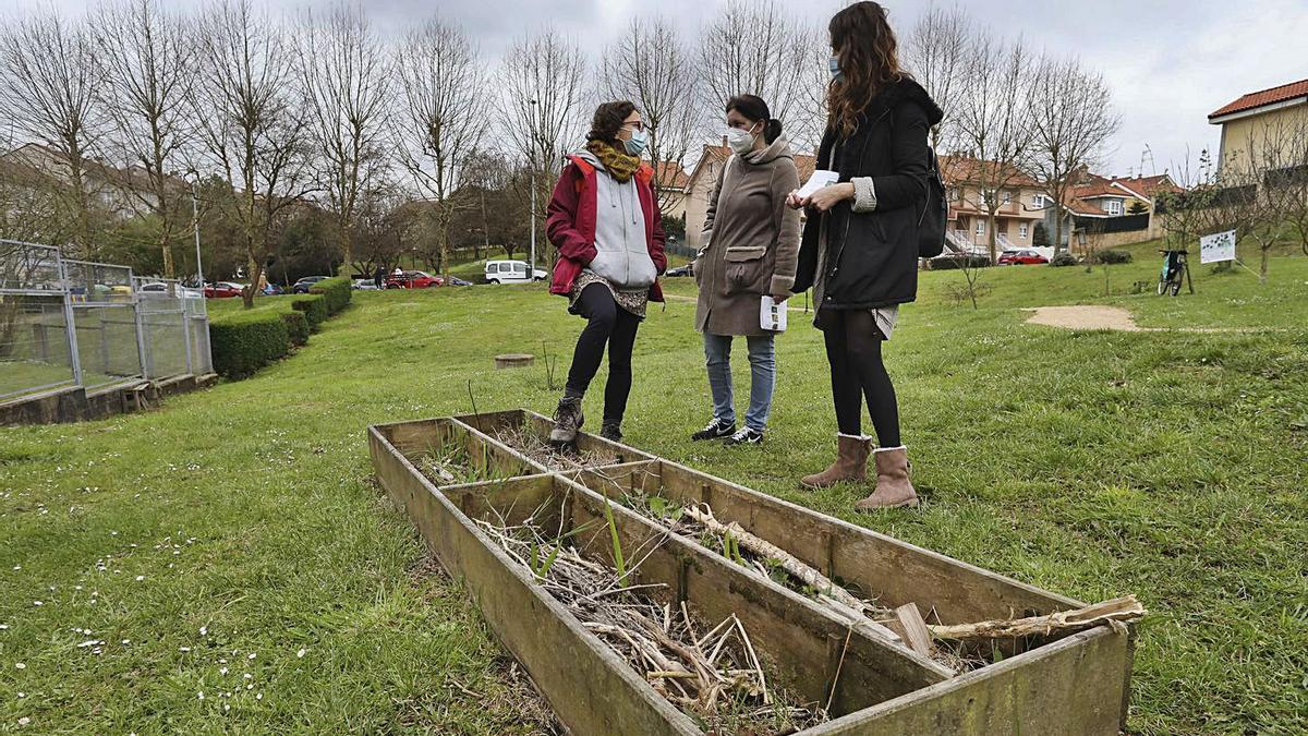 Fines de semana saludables en Avilés: nace un proyecto para jóvenes | RICARDO SOLÍS