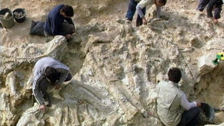 Un equipo de paleontólogos de la Fundación Conjunto Paleontológico de Teruel trabaja en el yacimiento de Riodeva (Teruel).