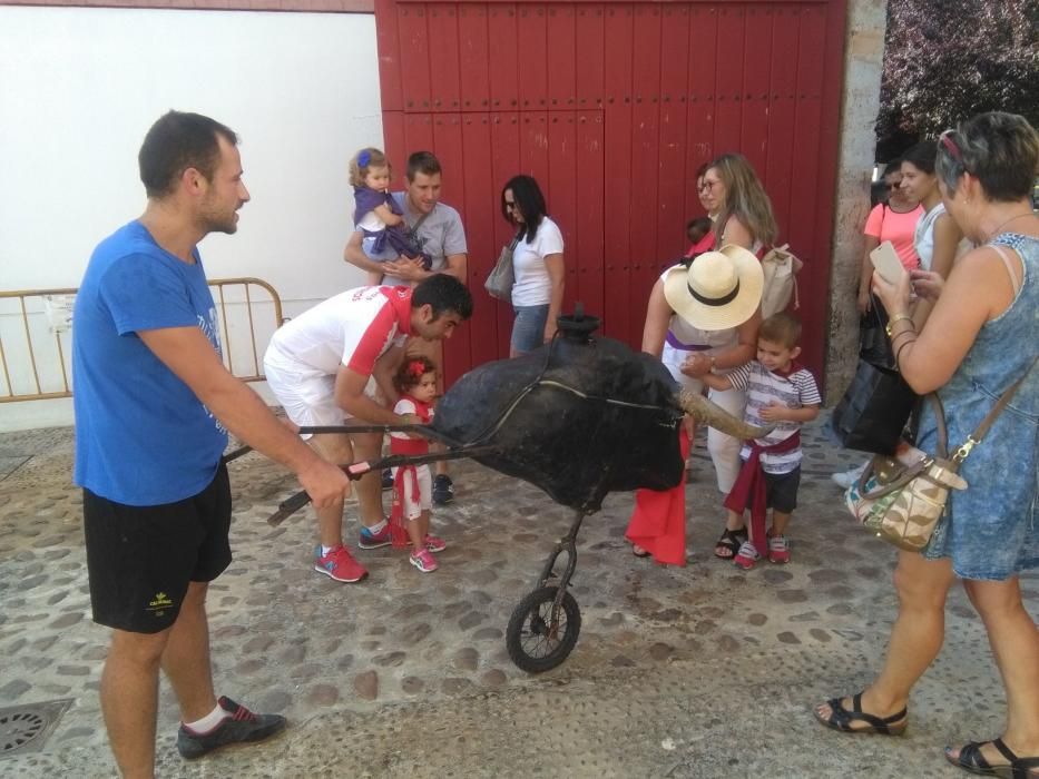 Fiestas Toro- Día de los niños