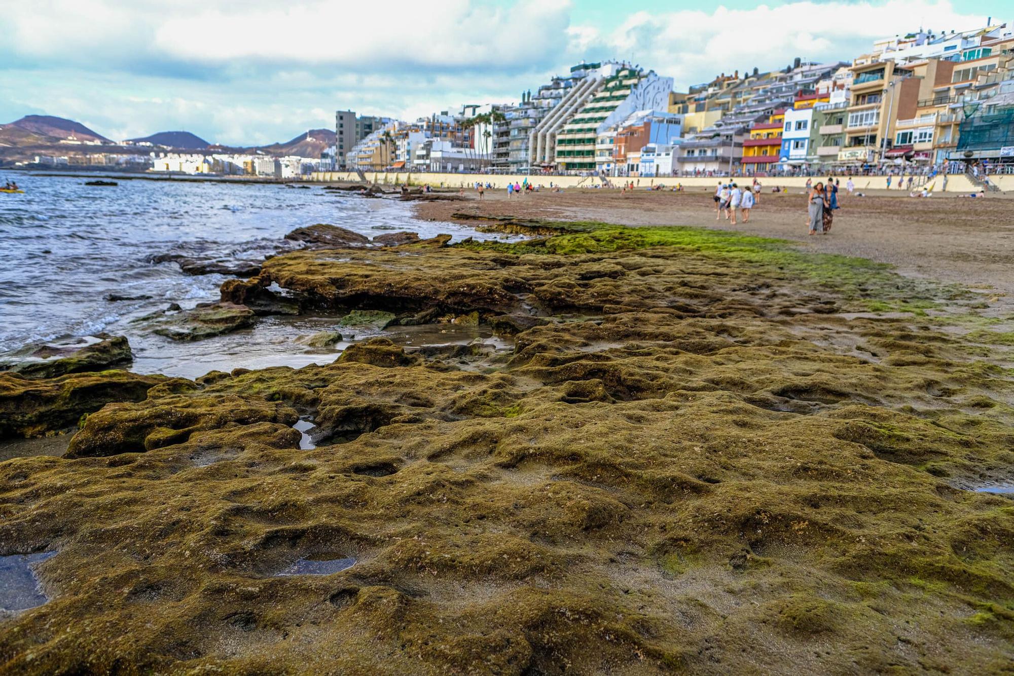 Playas fósiles de Las Canteras