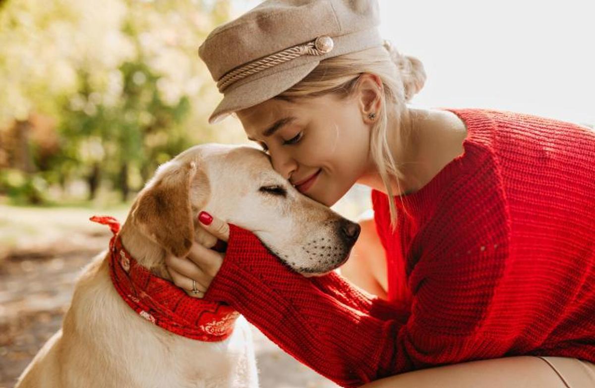 L'amor incondicional cap a les nostres mascotes
