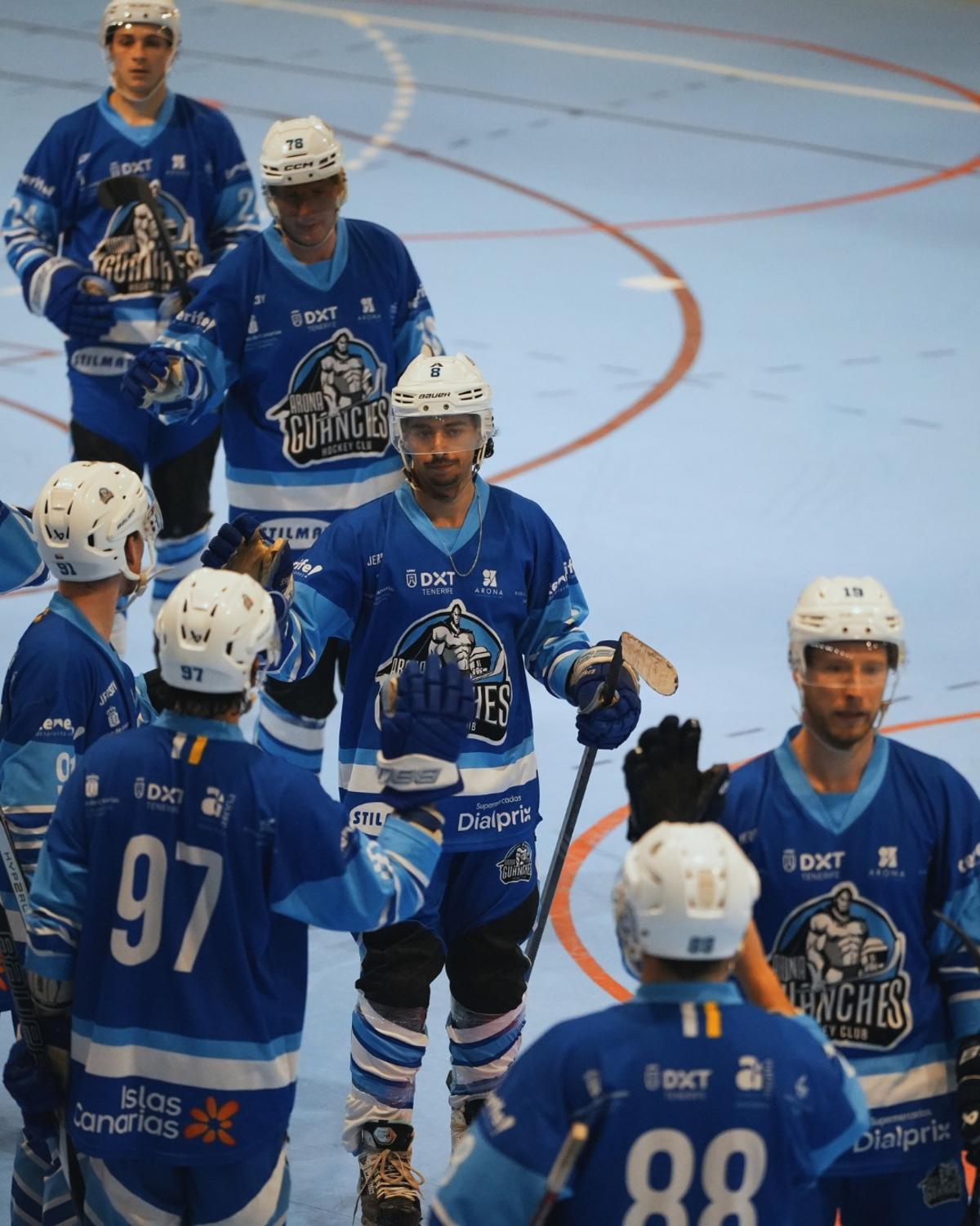 Los jugadores del Arona Tenerife Guanches en un duelo de Liga Élite.