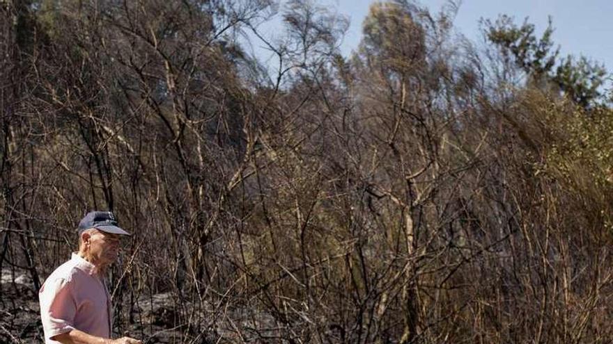 Extinguido el incendio de Maside. // Brais Lorenzo