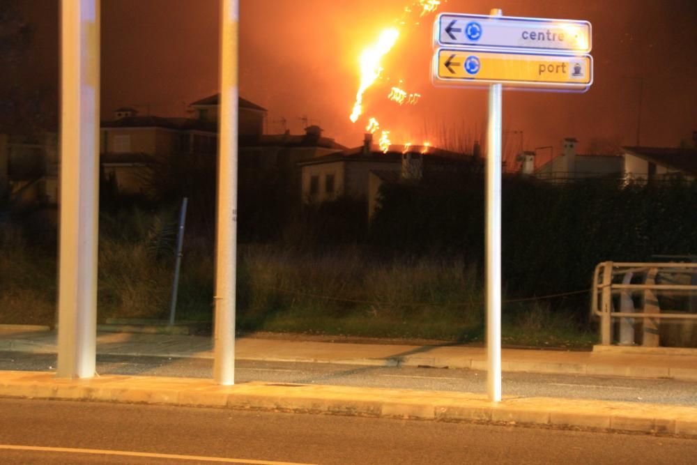 Un gran incendio forestal causa alarma en el Port de Pollença