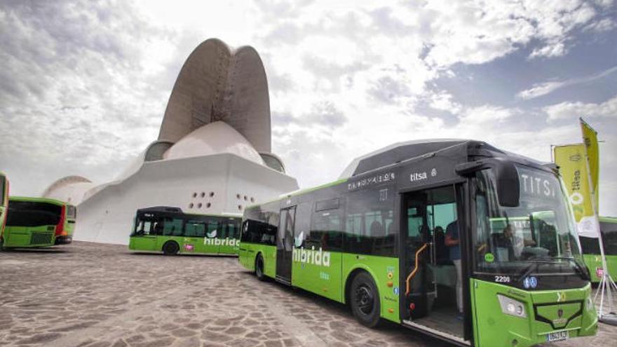 Modelos de las guaguas híbridas que ha adquirido el Ayuntamiento de Santa Cruz de Tenerife.