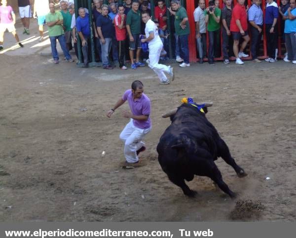 Tarde de vítores y aplausos en Almassora