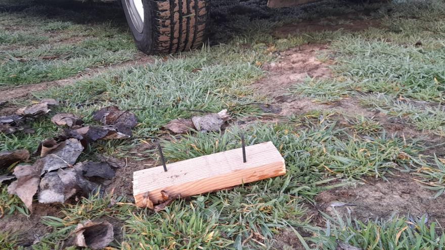 Trampas camufladas entre la vegetación: aparecen maderas con clavos junto al río en Villaralbo