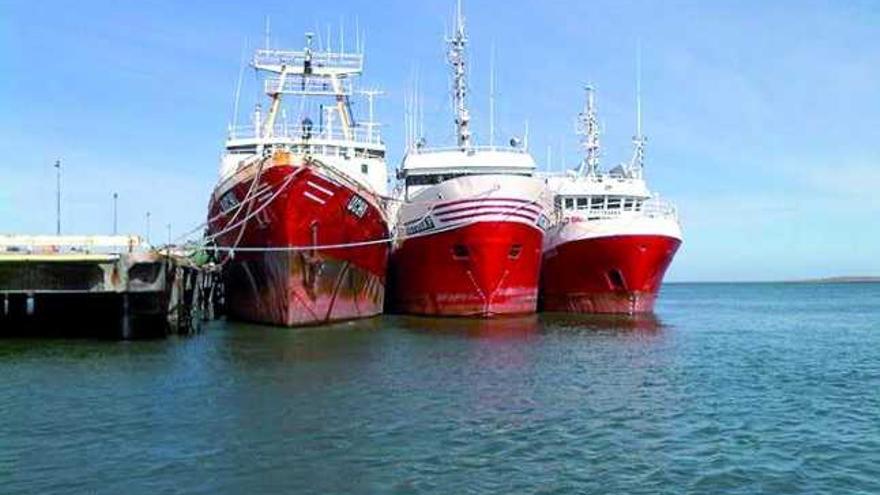 Tres buques de la filial argentina de Vieira, amarrados en la localidad de Puerto Deseado.  // Santa Cruz