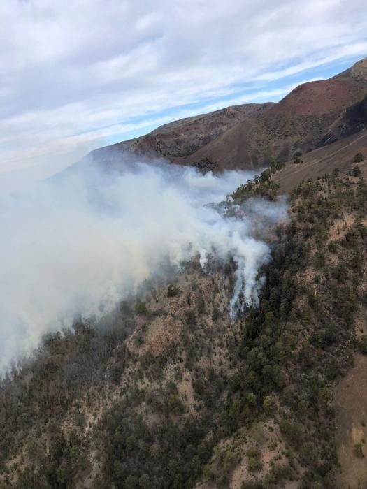 Incendio forestal declarado en el  Paisaje Lunar (cumbres de Granadilla)