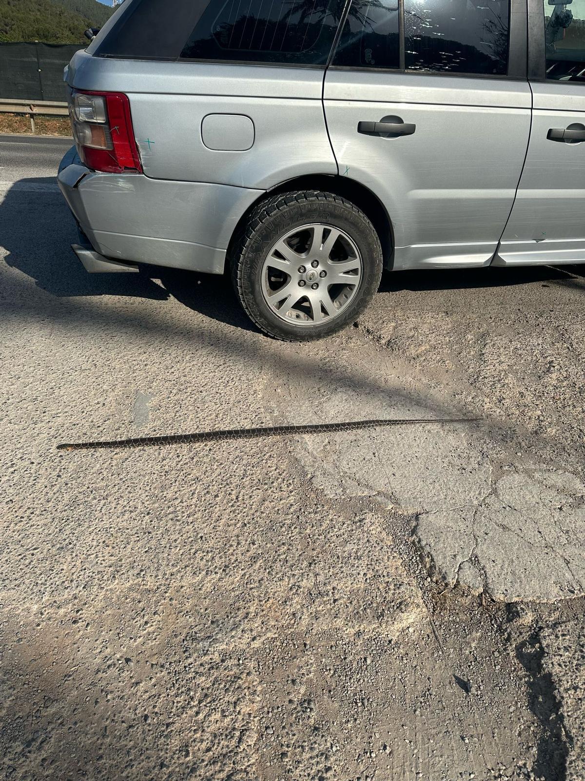 La serùente capturada junto a un automóvil.
