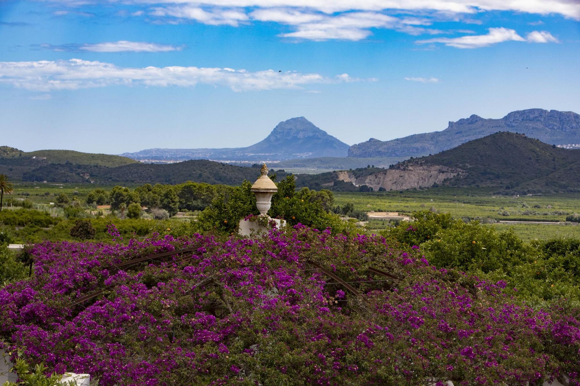 Vista del paisaje desde l'Elca.