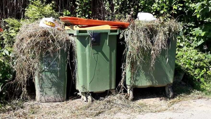 Contenedores llenos de poda, en los últimos días en la comarca.