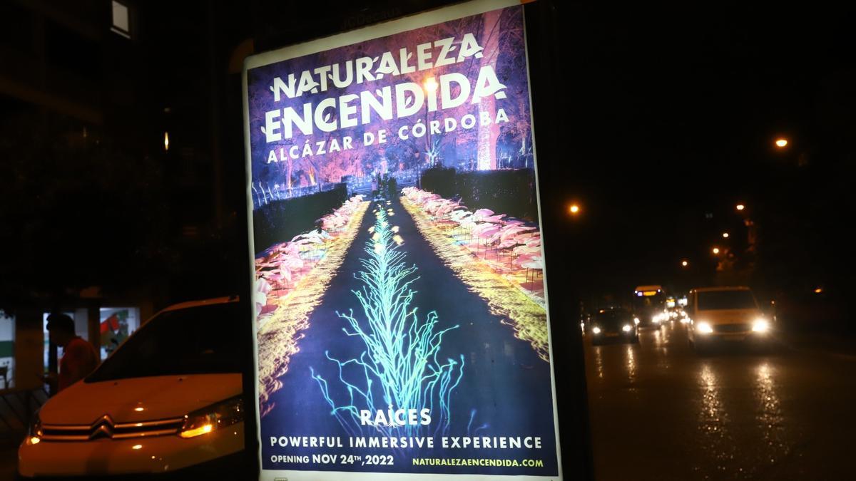 Cartel de &#039;Raíces&#039; el espectáculo nocturno del Alcázar que podrá verse a partir del 24 de noviembre.