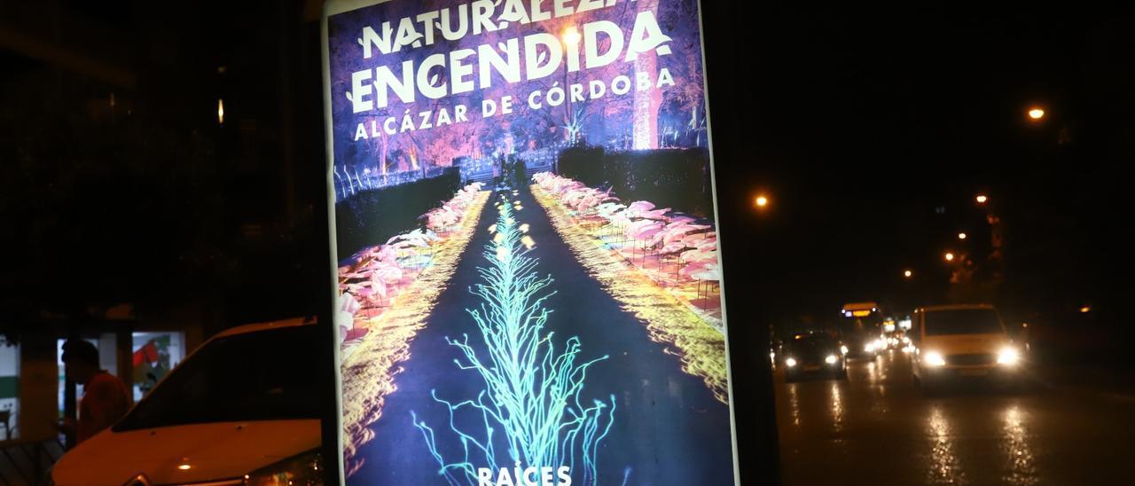 Cartel de &#039;Raíces&#039; el espectáculo nocturno del Alcázar que podrá verse a partir del 24 de noviembre.