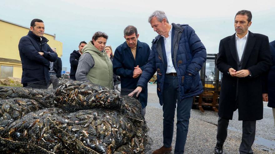Alfonso Rueda defiende a los mejores gestores de la costa de Galicia