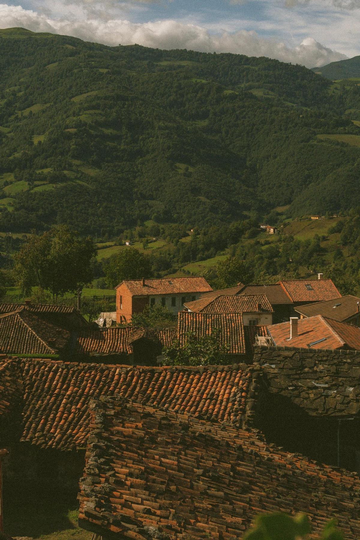 En las montañas de Asturias vive aislado Federico